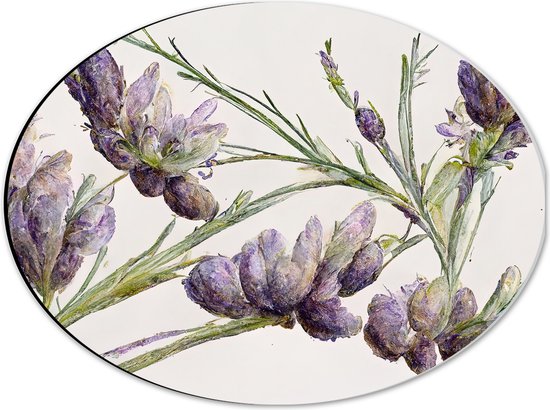 Dibond Ovaal - Aquaruel Verf Tekening van Lavendel Bloemen - 40x30 cm Foto op Ovaal (Met Ophangsysteem)