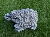 schildpad met jong op hoofd beton tuinbeeld vijver 23cm lang