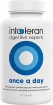 Intoleran Once a Day - 92 Capsules Grootverpakking | Probiotica | Hulp bij vertering van Lactose | 1 Capsule per dag | 6 Melkzuurfermenten | Puur en Vegan