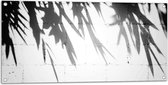 Tuinposter – Planten - Bladeren - Muur - Schaduw - Zwart - Wit - 100x50 cm Foto op Tuinposter (wanddecoratie voor buiten en binnen)