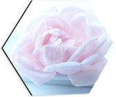 Dibond Hexagon - Roze - Roos - Bloem - Bladeren - 30x26.1 cm Foto op Hexagon (Met Ophangsysteem)
