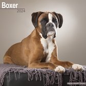 Calendrier Boxer 2024 (Euro)