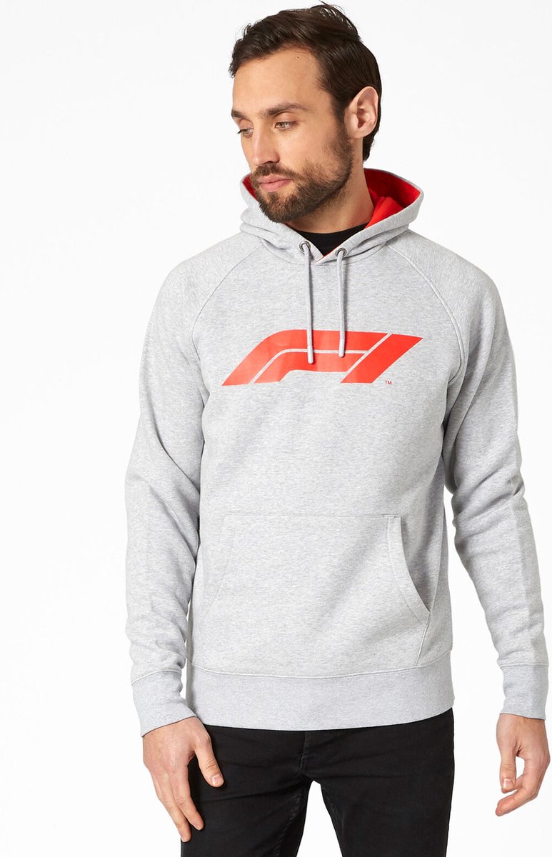 F1 Large Logo Hoody Formule 1 Hoodie Grijs