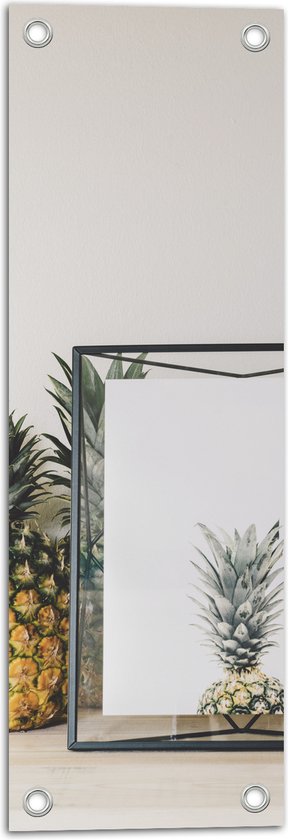 Tuinposter – Lijst met Ananas en Ananassen ernaast - 20x60 cm Foto op Tuinposter (wanddecoratie voor buiten en binnen)