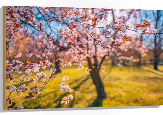 Hout - Bloeiende Bloesem aan Boom in het Park - 105x70 cm - 9 mm dik - Foto op Hout (Met Ophangsysteem)