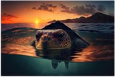 Poster Glanzend – Close-up van Boze Zeeschildpad Dobberend bij het Wateroppervlak - 105x70 cm Foto op Posterpapier met Glanzende Afwerking