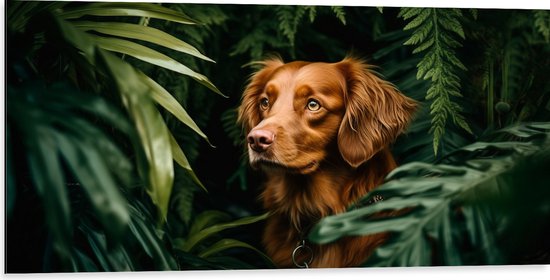 Dibond - Bruine Hond tussen de Groene Bladeren - 100x50 cm Foto op Aluminium (Met Ophangsysteem)