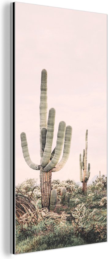 Wanddecoratie Metaal - Aluminium Schilderij Industrieel - Cactus - Groen - Natuur - Planten - 20x40 cm - Dibond - Foto op aluminium - Industriële muurdecoratie - Voor de woonkamer/slaapkamer