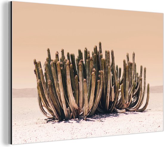Wanddecoratie Metaal - Aluminium Schilderij Industrieel - Cactus - Plant - Natuur - Groen - 60x40 cm - Dibond - Foto op aluminium - Industriële muurdecoratie - Voor de woonkamer/slaapkamer