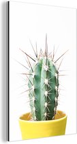 Wanddecoratie Metaal - Aluminium Schilderij Industrieel - Cactus - Planten - Natuur - Groen - 60x90 cm - Dibond - Foto op aluminium - Industriële muurdecoratie - Voor de woonkamer/slaapkamer