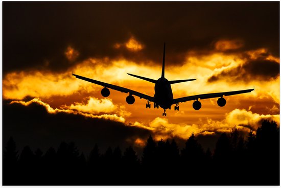 Poster Glanzend – Silhouet van Passagiersvliegtuig boven de Bomen tijdens Zonsondergang - 90x60 cm Foto op Posterpapier met Glanzende Afwerking