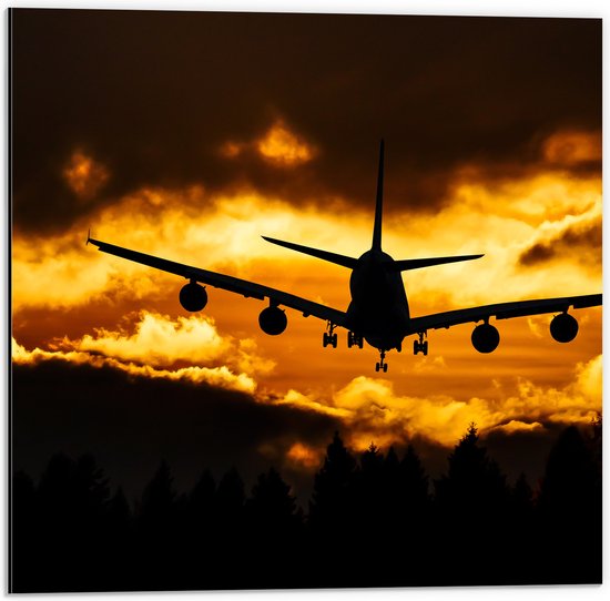 Dibond - Silhouet van Passagiersvliegtuig boven de Bomen tijdens Zonsondergang - 50x50 cm Foto op Aluminium (Met Ophangsysteem)