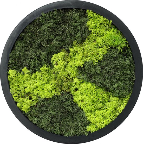 Comforder Mosschilderij - Moswand van Rendiermos - Onderhoudsvrije Wanddecoratie Hout Natuurlijk - Rond Ø38cm