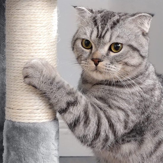 Cyperse kat met gele ogen die zijn poot op een grijze krabpaal legt.