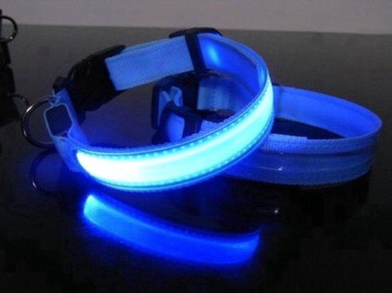 Collier LED bleu pour chien, illuminé dans le noir.