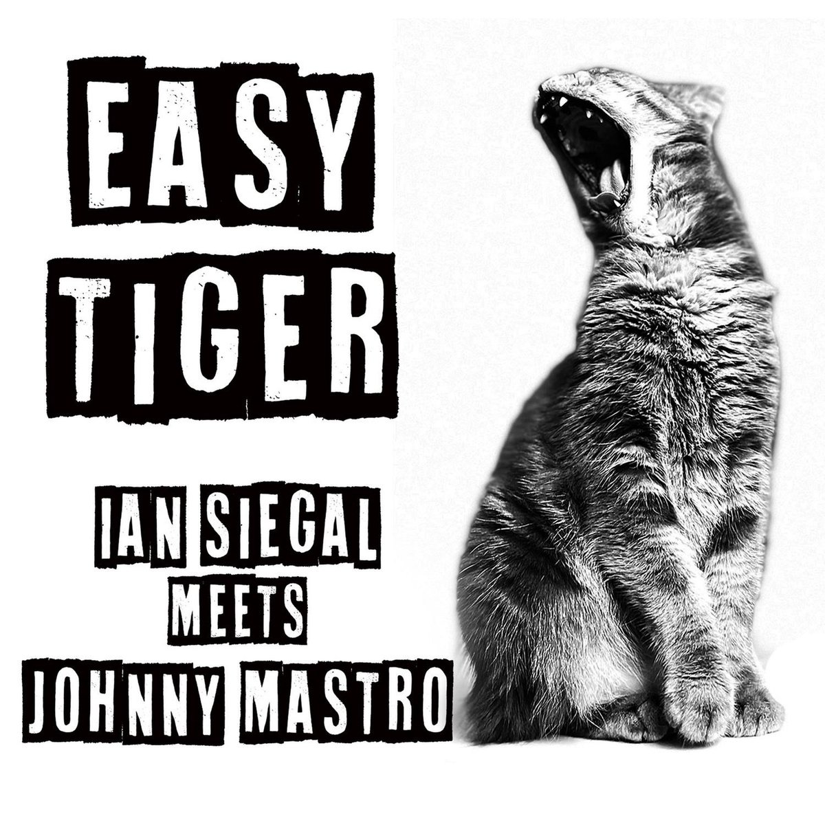 Ian Siegal & Johnny Mastro - Easy Tiger (CD)