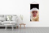 Porte-affiche avec affiche - Affiche scolaire - Singe - Fourrure - Zwart - 90x180 cm - Lattes transparentes