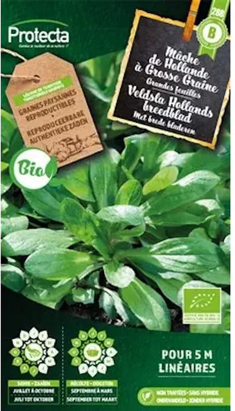 Beschrijving van Veldslazaden met de tekst 'Veldsla Hollands breedblad Bio' en 'Protecta'. Groene bladeren met brede bladeren.