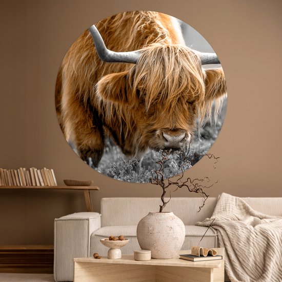WallCircle - Muurstickers - Behangcirkel - Schotse Hooglander - Dieren - Bruin - Koe - Zwart - Wit - Natuur - 120x120 cm - Muurcirkel - Zelfklevend - Ronde Behangsticker XXL