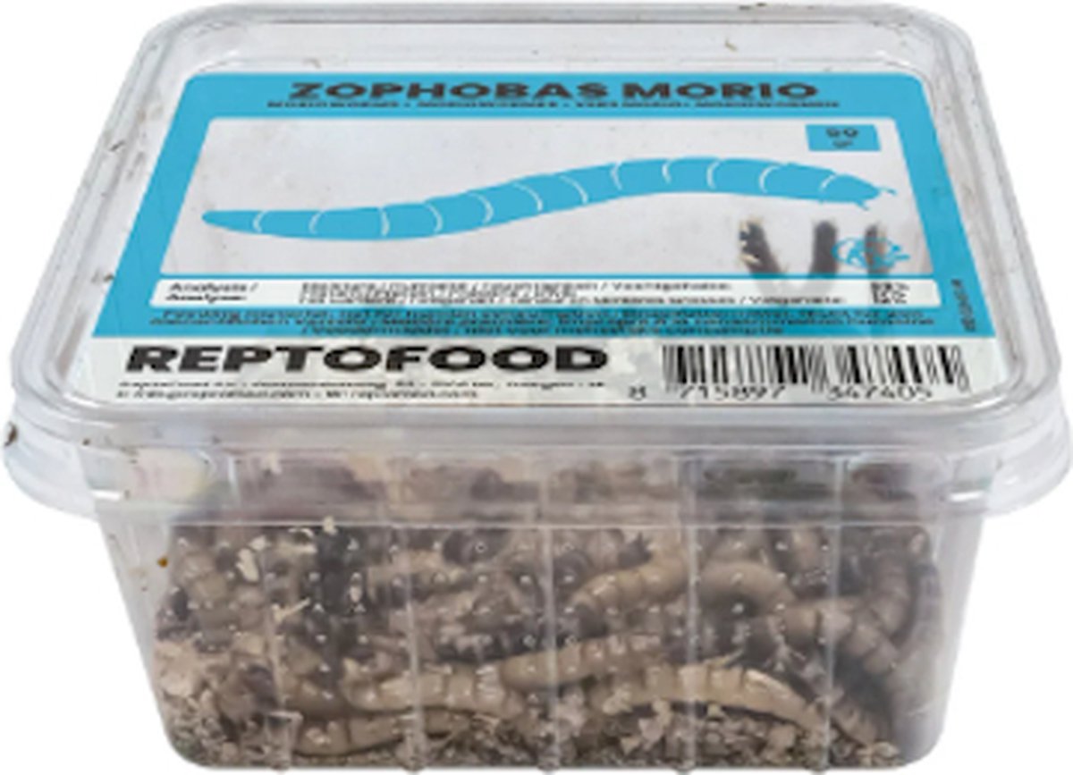 Repto Levende Moriowormen 1000 gram