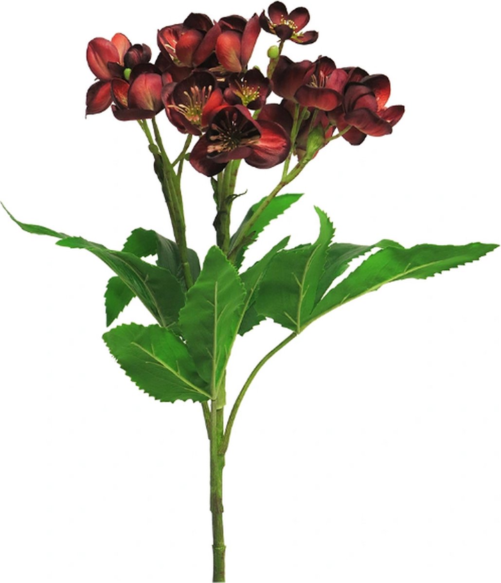 Buitengewoon Boet Kunstbloem Helleborus niger spray red 59 cm Buitengewoon de Boet onbekend