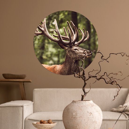 WallCircle® - Cercle de papier peint 80x80 cm - Stickers muraux Cerf - Nature - Bois - Forêt - Animaux - Cercle mural salon - Cercle mural chambre - Décoration murale autocollante - Accessoires de Décoration murale