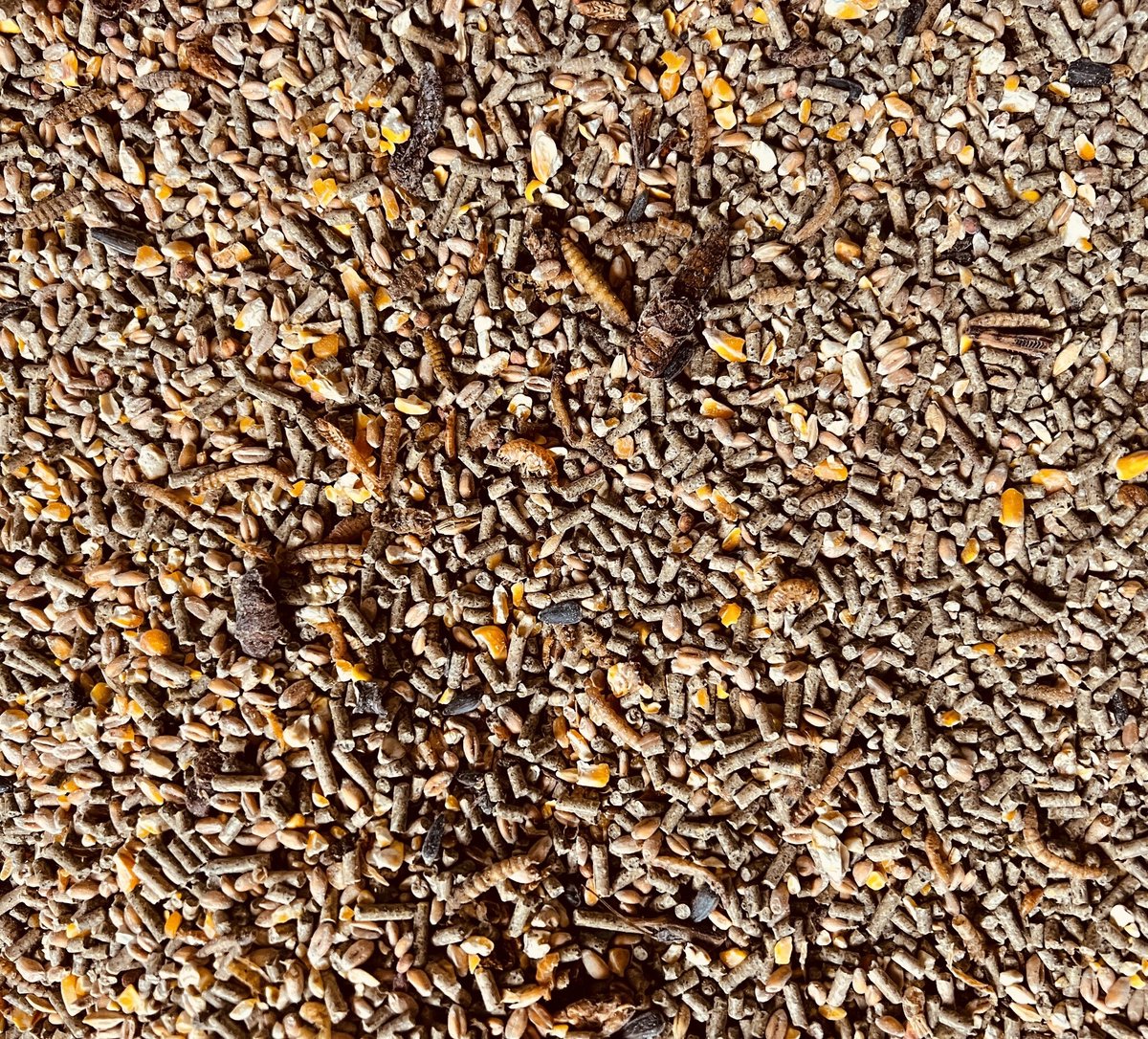 Luxe scharrel kippenmix met insecten 20 kilo