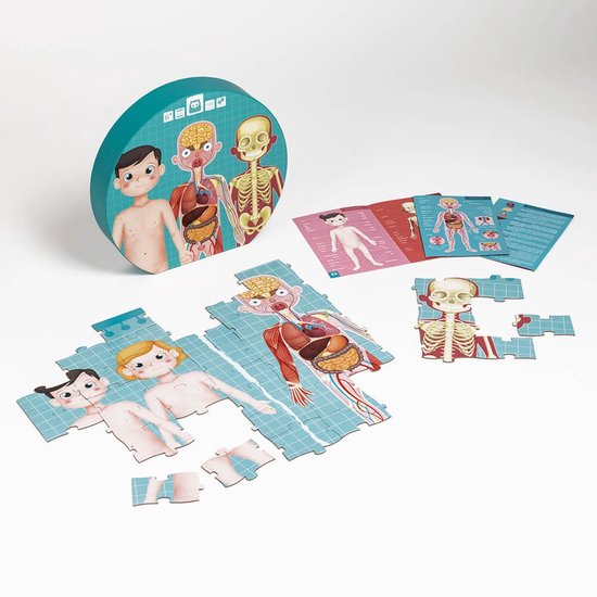 Een educatieve puzzel van het menselijk lichaam met menselijke figuren, organen en skeletten.