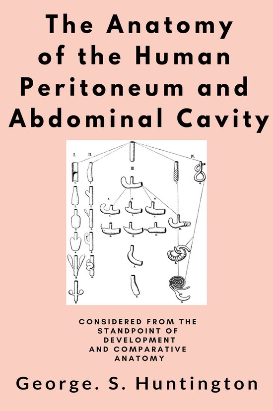 The Anatomy of the Human Peritoneum and Abdominal Cavity - cover
