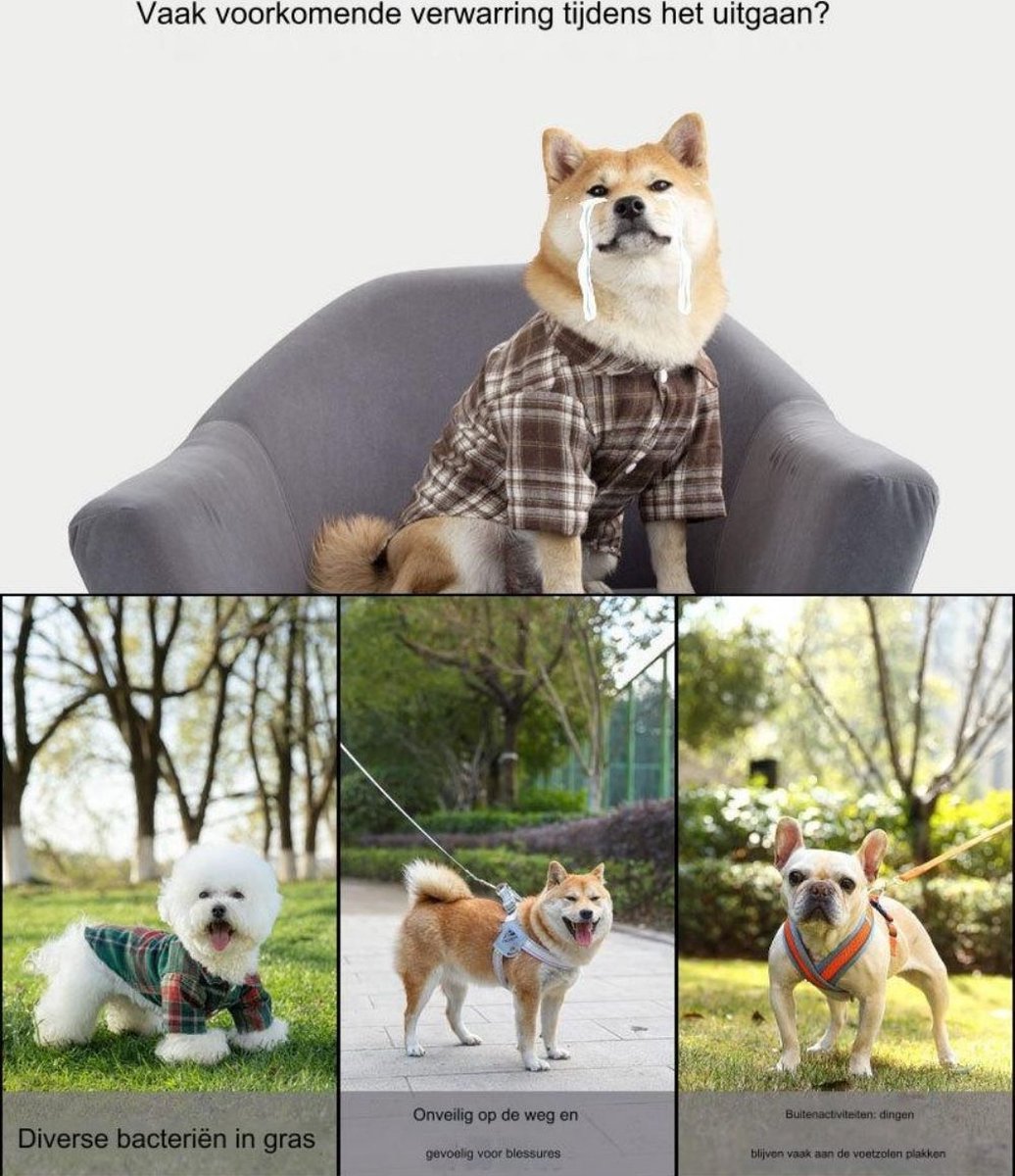 Paipeper Hondenschoenen voor kleine honden, ademende hondenlaarzen, huisdierpootbeschermer voor hete bestrating en wintersneeuw, buiten wandelen en harde vloeren binnenshuis (groen, maat 3