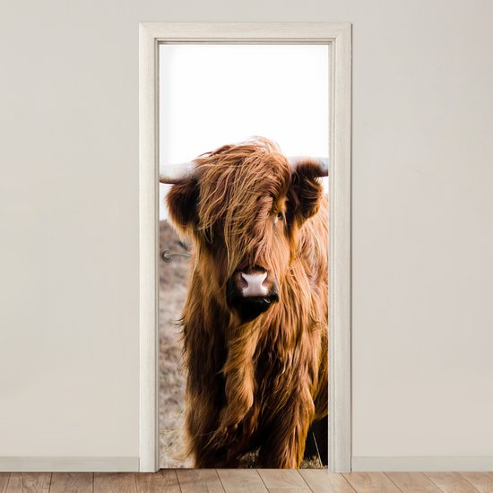 Sticker pour porte Scottish Highlander - Paysage - Vache - Marron - Animaux - Nature - 95x215 cm - Door Poster