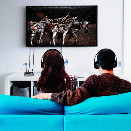 Émetteur/récepteur Bluetooth LogiLink connecté sans fil à deux casques, regardant la télévision avec des zèbres.