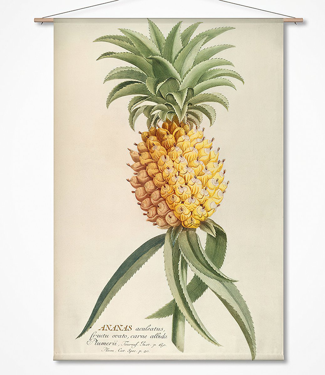 Wanddoek-XL Ananas (zonder houten stokken)
