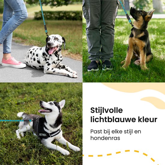 Collage van honden (dalmatiër, herdershond, husky) met een lichtblauwe riem