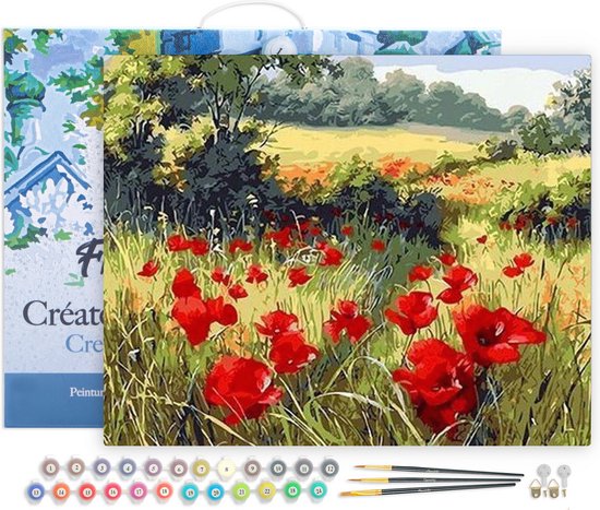 Foto: Figured art schilderen op nummer volwassenen met lijst veld met klaprozen op het platteland handwerk acrylverf kit diy compleet 40x50cm canvas al ingelijst