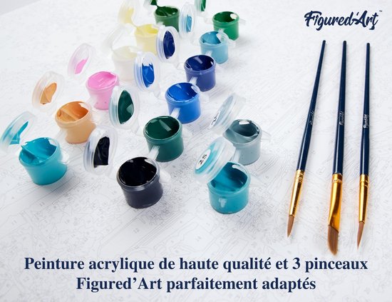 Figured' Art Peinture par numéros Adultes avec cadre – Renne moderne – Kit de peinture acrylique DIY complet – Toile 40 x 50 cm déjà encadrée