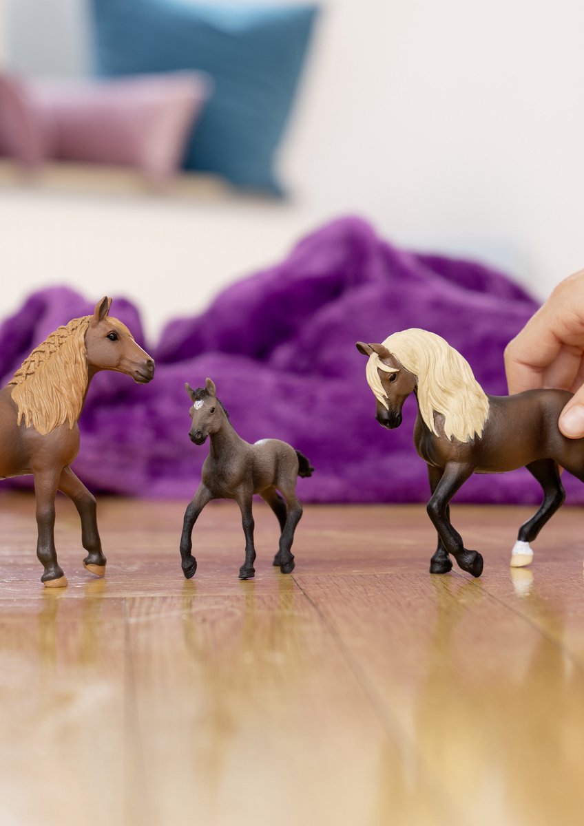 schleich HORSE CLUB - Peruviaanse pasomerrie - 13953 — cadeau in Spellen & Speelgoed - foto 8