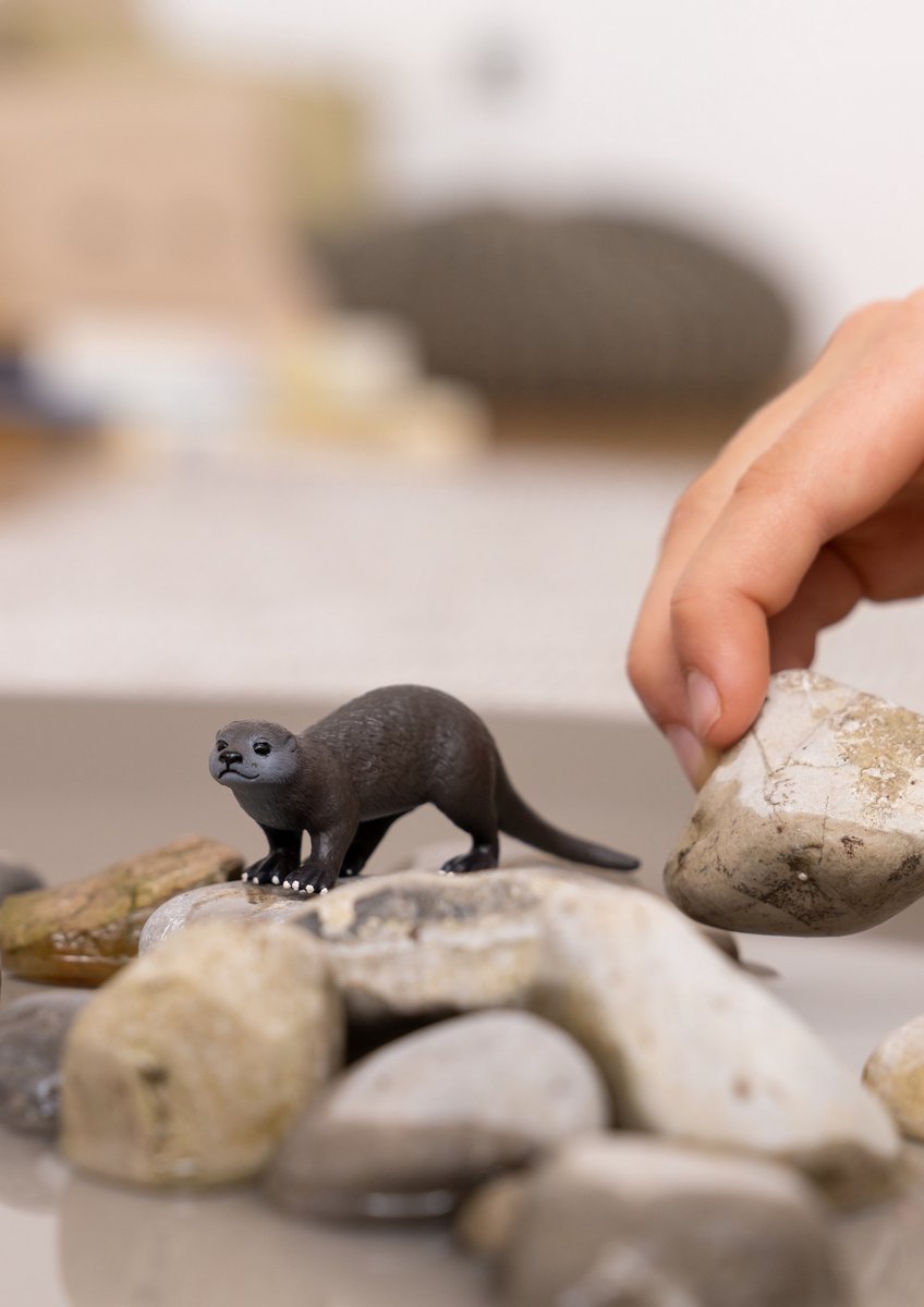 schleich WILD LIFE - Otter - 14865 — afbeelding 5