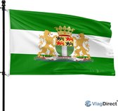 De Rotterdamse vlag wappert aan een vlaggenmast. Groen-wit-groene baan met stadswapen.