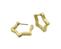 Ster oorbellen - Premium gold-plated staal - Goudkleurig