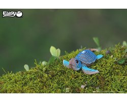 foto van EUGY - 3D Bastelset Schildkröte