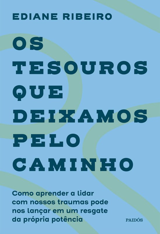 Os tesouros que deixamos pelo caminho - cover