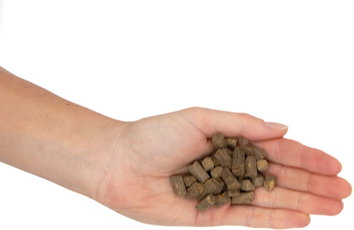 Budget Pet Deals Hondensnacks - Paarden Trainers - 500 Gram - Hondensnoepjes - Trainingssnoepjes
