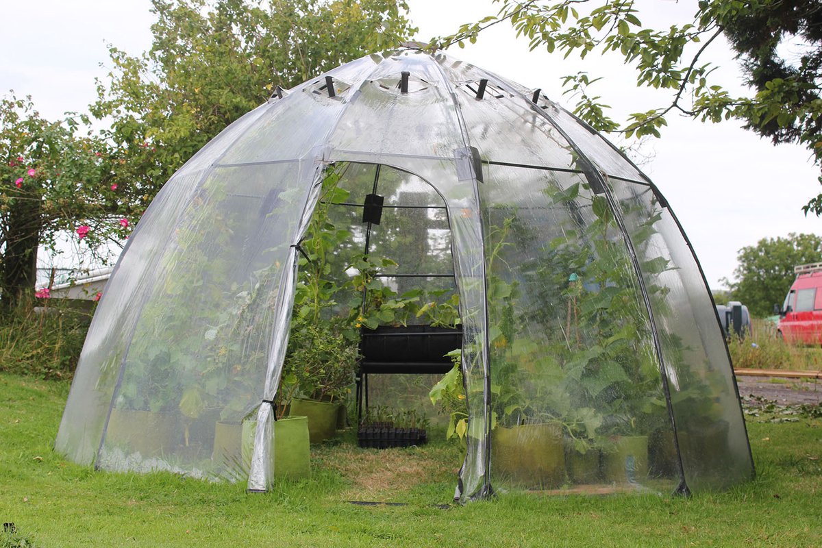 Haxnicks Sunbubble Large- kweekkas - 3,5 m x 2,2 m - extra stevig - UV bestendig