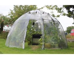 Haxnicks Sunbubble Large- kweekkas - 3,5 m x 2,2 m - extra stevig - UV bestendig