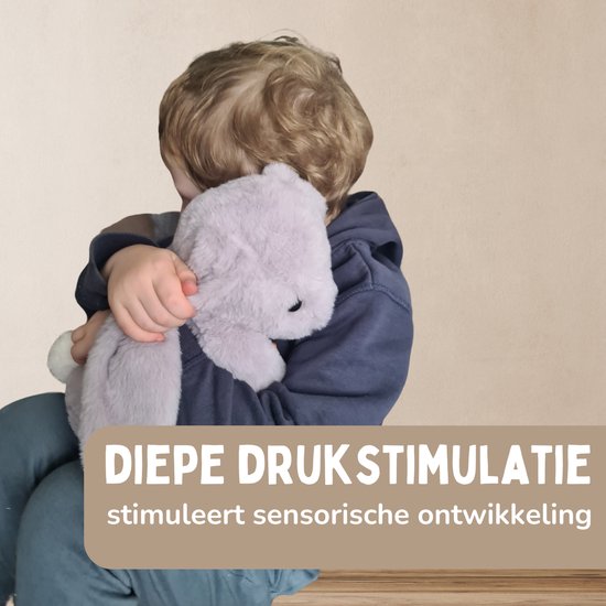 Solacis Verzwaringsknuffel - Sensorisch speelgoed - Verzwarings knuffel - Weighted stuffed animal - Volwassenen - Must have