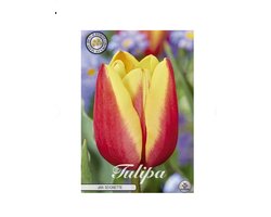 Dutch Finest Quality bloembollen Tulpen 10 stuks Tulip Triumph Jan Seignette x10 12/+s
