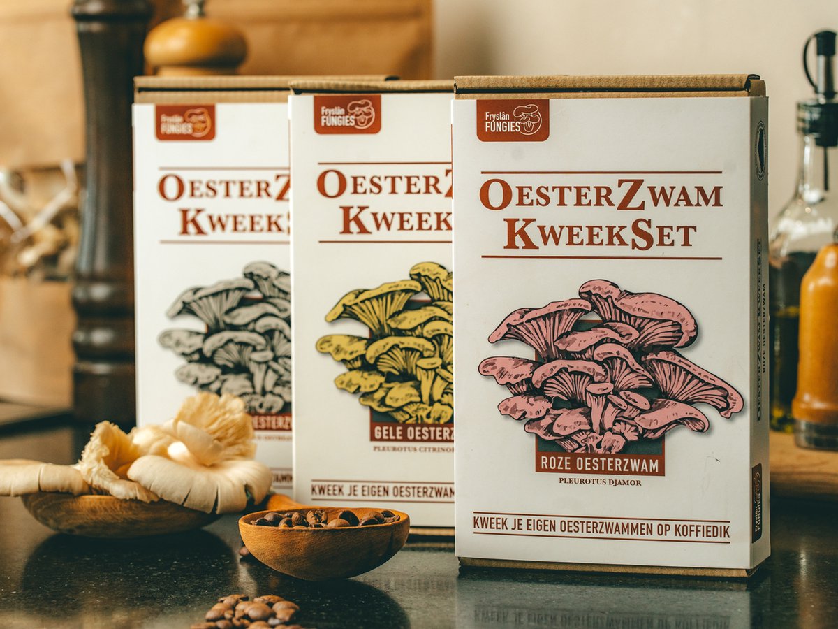 Kweek oesterzwammen in 3 kleuren, kweekset voordeelbundel - Kweek je oesterzwammen op je eigen koffiedik in roze, geel en grijs.