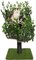Groen-120cm