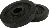 Tunturi Halterschijven - Halter gewichten - 2 x 1,25 kg - Ø 30 mm - Gietijzer - Incl. gratis fitness app